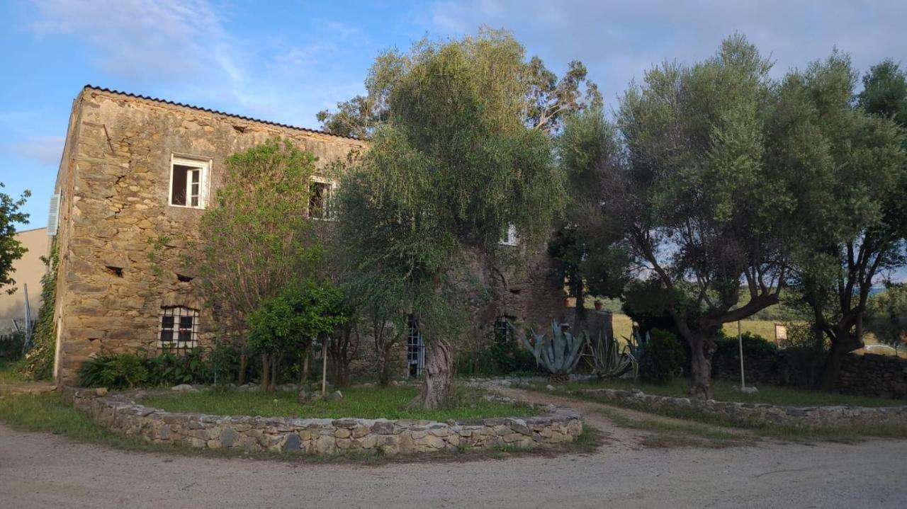 Bed & Breakfast Domaine Ostriconi *